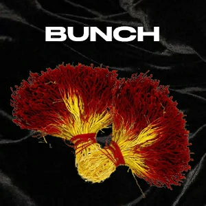 bunch 藏红花 | 藏红花类型