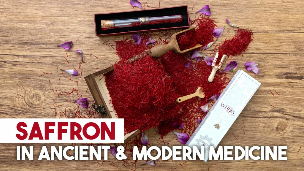 Saffron in ancient modern medicine