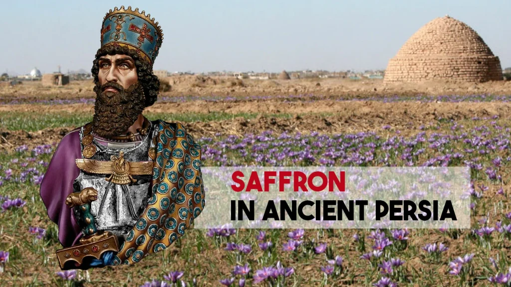 El azafrán en la antigua Persia e Irán