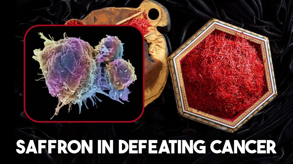 saffron in defeating cancer and infected cells