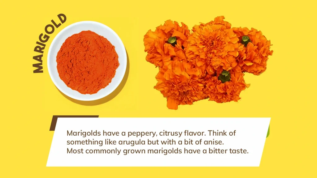marigold flower taste and color