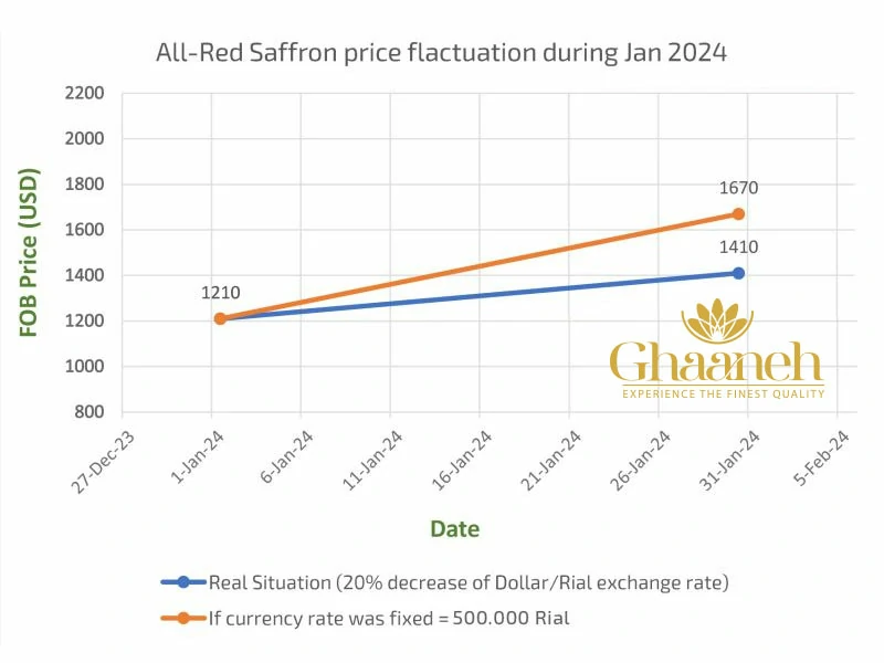 saffron price changes February 2024