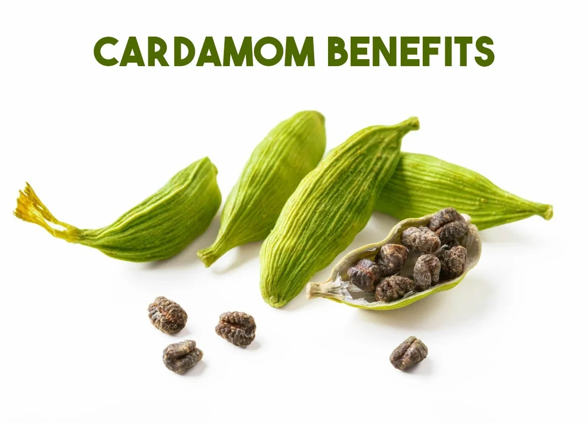 cardamom benefits