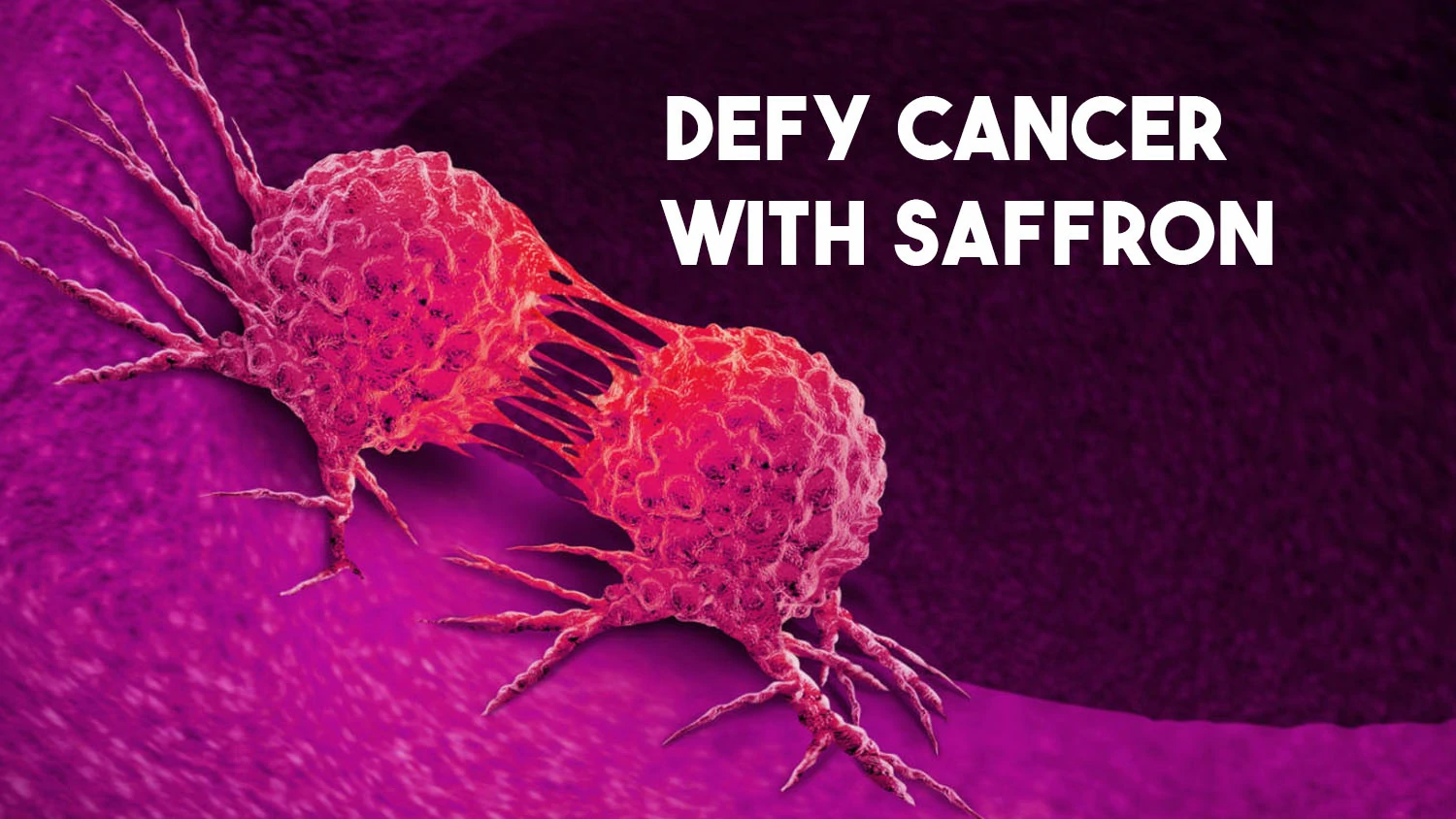 defy cancer with saffron