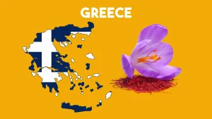 saffron price in greece