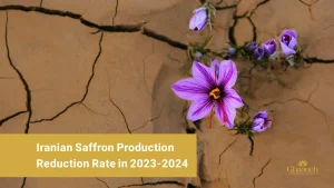Iran's saffron production rate