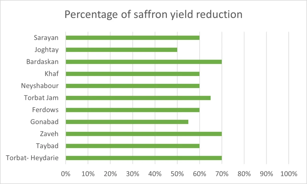Percentage of saffron yield reduction 2023