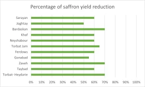 Pourcentage de réduction du rendement du safran 2023