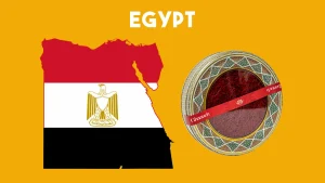 saffron price in Egypt