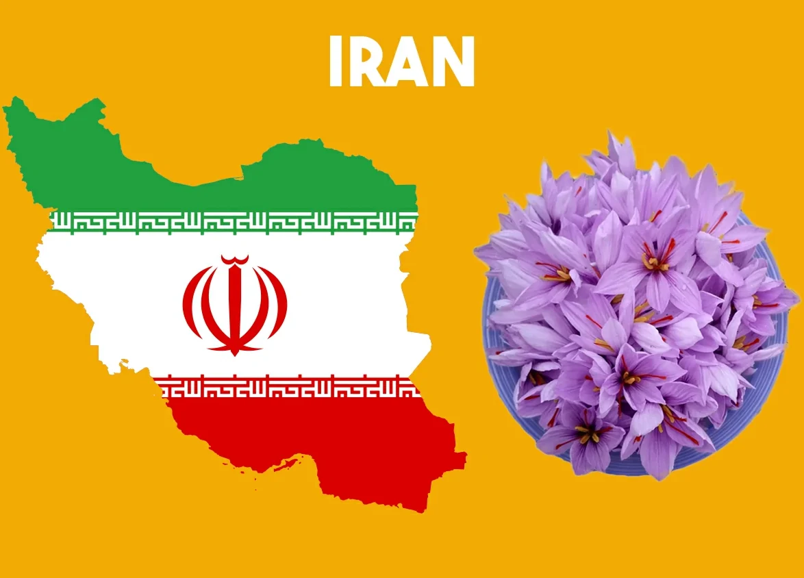 saffron price in Iran