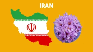 saffron price in Iran